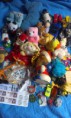 /album/fenykepgaleria/a13472408-815810548550941-1838479311-n-jpg/